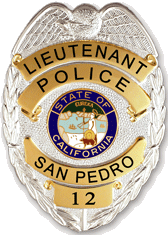 G1 Garel two tone Eagle Police Badge