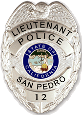 G1 Eagle Police Badge