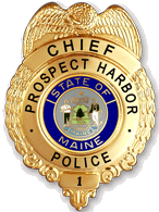 G12 Eagle Police Badge