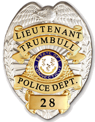 G5B TT Eagle Police Badge